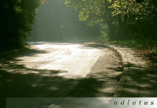 Jesien w Puszczykowie